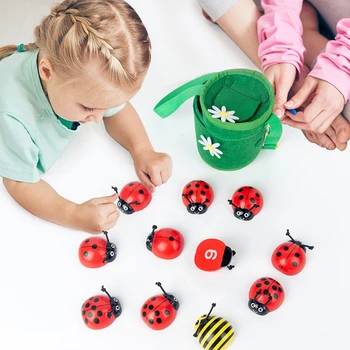 התינוק בונה מתמטיקה מספרים עץ חיפושית חרקים חושי צעצועים בגן ילדים בגן מונטסורי צעצועים חינוכיים לילדים
